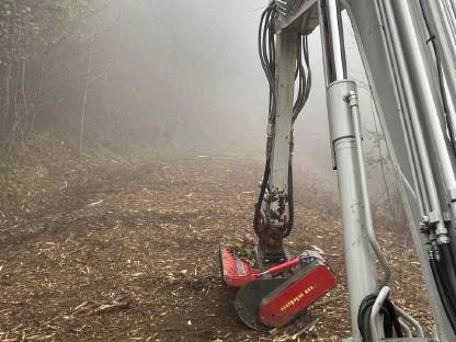 Bild 6:Forstmulchen Böschung und Flächen Takeuchi TB290