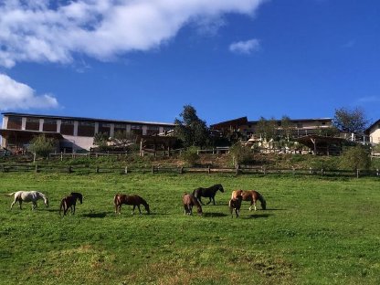 Bild 3:Einstellplatz