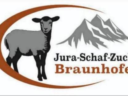 Jura Widderlämmer HB-fähig zu verkaufen