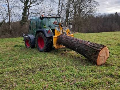 Holzschlägerung