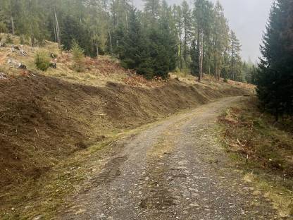 Bild 2:Forstmulchen Böschung und Flächen Takeuchi TB290