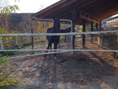 Bild 4:Einstellplatz