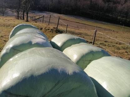 Silageballen