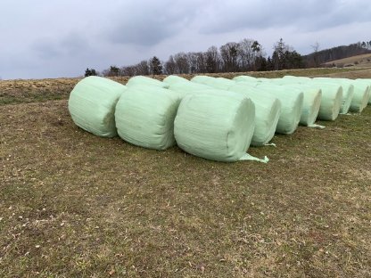 Bild 2:Siloballen zu verkaufen