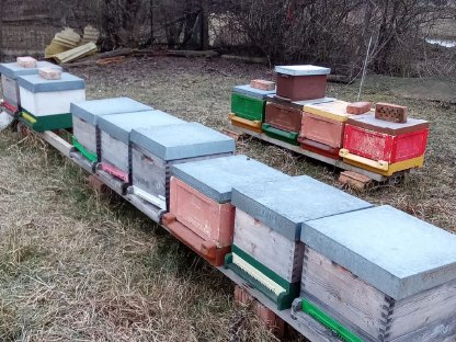 Bienenstöcke ohne Bienen