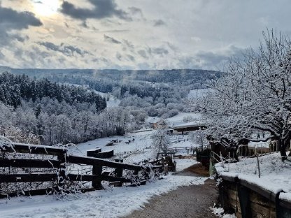 Bild 5:Einstellplatz