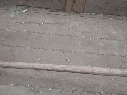 Bild 4:Anhänger Einachs-Anhänger