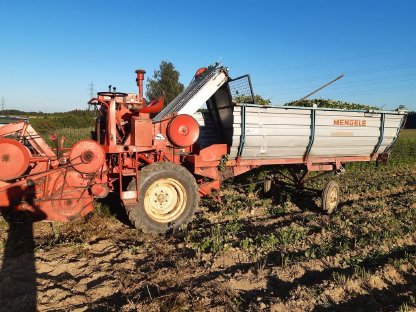 Bild 7:Kräutertrockenanlage mit Grünschnittverarbeitung