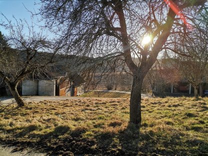 Grundstück in idyllischer Ruhelage – 1 Hektar mit Baugrund