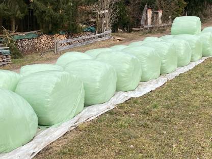 Feldfutter Kleegrasmischung Silage