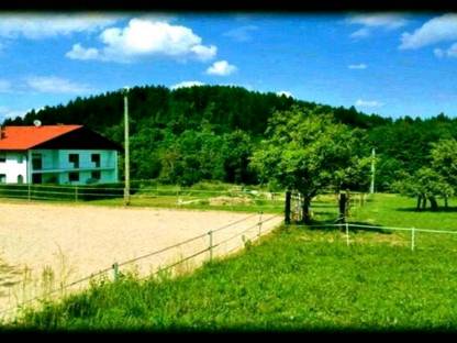 Einstellplatz für Pferd