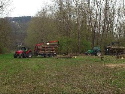 Bild 2:Holzschlägerung/Bringung