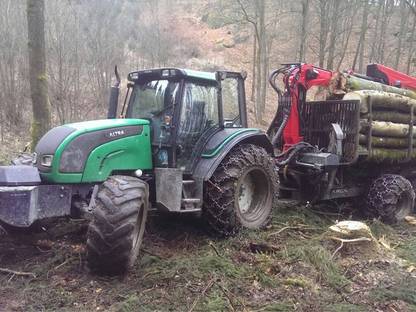 Bild 3:Holzschlägerung/Bringung