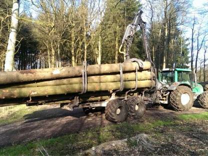 Bild 4:Holzschlägerung/Bringung