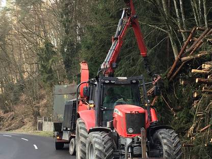 Bild 4:Hackguterzeugung