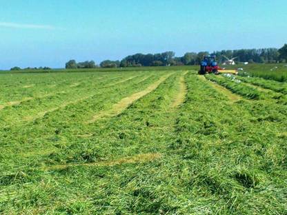 Bild 4:Wir suchen Aufträge zum Pressen und Wickeln