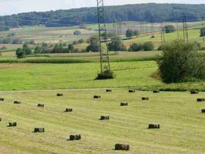 Bild 3:Mulchen, mähen, Holzverarbeitung, kipperarbeiten