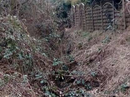 Bild 2:Freischneidearbeiten 