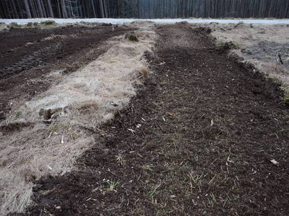 Bild 4:Forstmulchen/Wurzelstockfräsen/Rodung