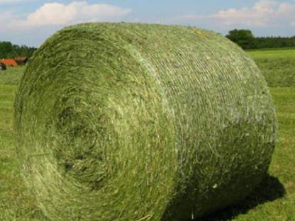 Bild 3:Rundballenerntetechnik Fürpaß