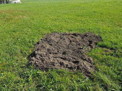 Bild 2:Baumstupffräsen