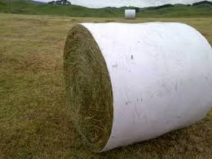 Bild 4:Rundballenerntetechnik Fürpaß