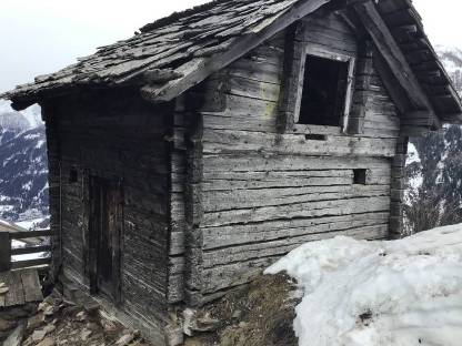 Bild 3:Altholz Troadkasten aus Zirbenholz