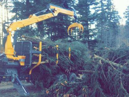 Bild 2:Holztransport Holzbringung Rückewagen