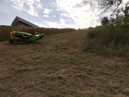 Bild 2:Böschung - Hang mähen, Verbuschung mulchen