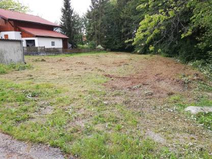 Bild 4:Böschung - Hang mähen, Verbuschung mulchen