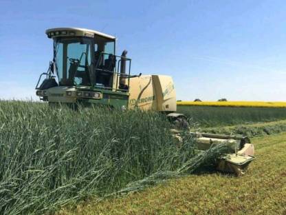 Bild 2:Lohnmähen und Lohnmulchen