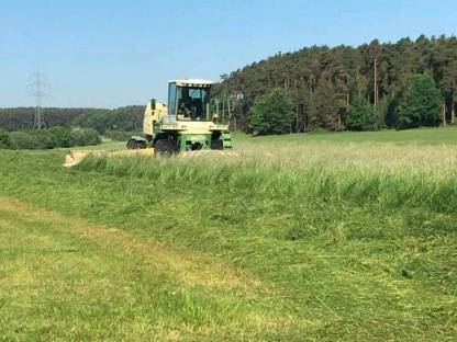 Bild 3:Lohnmähen und Lohnmulchen