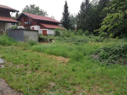 Bild 3:Böschung - Hang mähen, Verbuschung mulchen