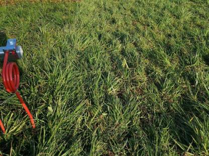 Bild 3:Grünlandpflege und Neuansaaten