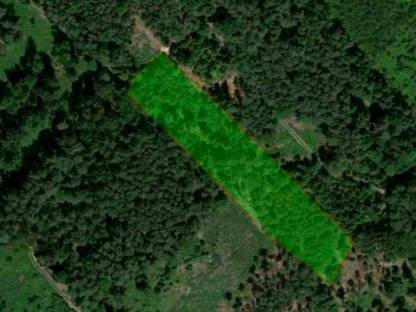 Wälder: Verkaufe Wald kaufen - Landwirt.com