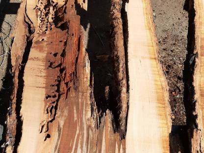 Kunsthandwerk: Kirschholz gebraucht kaufen - Landwirt.com