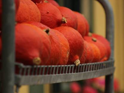 Bild 2:AB HOF VERKAUF