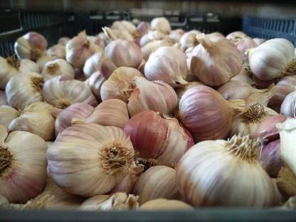 Bild 3:AB HOF VERKAUF