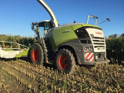 Bild 3:Maisernte / Maishäckseln Jaguar