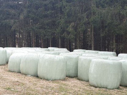 Silageballen