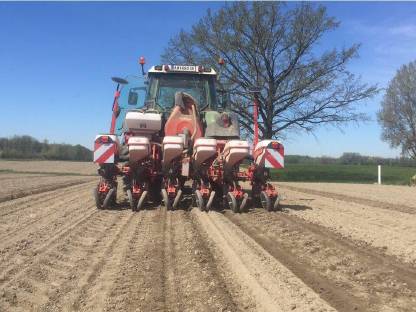 Bild 2:Maisanbau, Einzelkornsaat