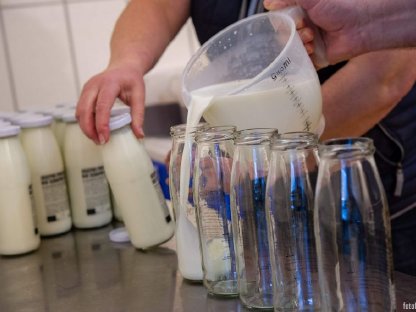 Bild 4:Bio Schafmilch & -produkte AB-HOF-ABHOLSTELLE in Wien