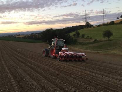 Bild 3:Maisanbau, Einzelkornsaat