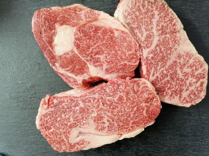 Bild 2:Interessante Wagyu-Kälber 2025