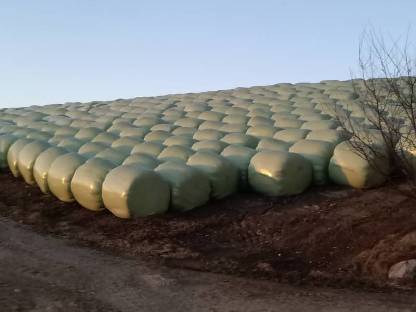 Silageballen