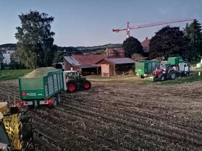 Bild 3:MAISPRESSEN REGION THUN