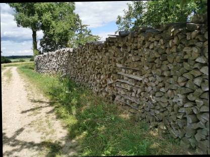 Brennholz