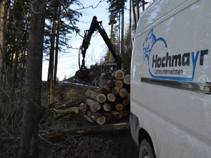 Bild 6:Forstarbeiten