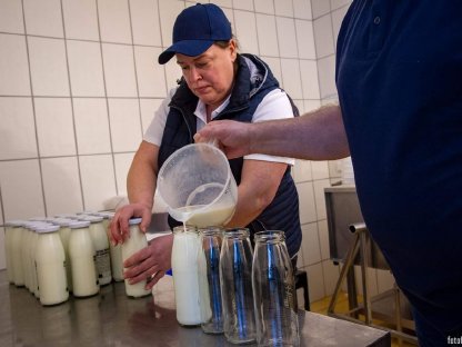 Bild 3:Bio Schafmilch & -produkte AB-HOF-ABHOLSTELLE in Wien