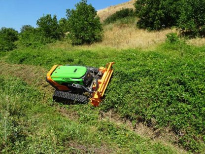 Bild 5:Mulchen / fräsen in Forst u. Grünland, Landschaftspflege